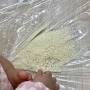 날아라벨라 이미지