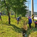 감천제방 이미지