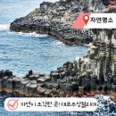 전기차충전소_느지리오름주차장 | 제주 중문 가볼만한곳 대포주상절리대 관람 후기