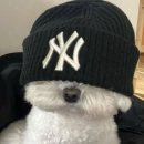 스타일PC 이미지