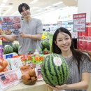 에브리데이 헤럴드경제