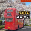 83 | 대구 이월드 83타워 벚꽃 후기, 우리 동네랑 비교가 안되네