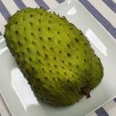 트리츠