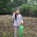 미니스톱 한강강서1점 이미지