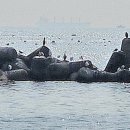 바른윤의원 이미지