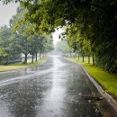 블루썬데이 이미지