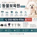 동물보육원 천안지부 네이버블로그