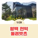 둘리애견 | [카페 리뷰] 평택 현덕 애견운동장이 있는 카페 둘리펫츠 재방문 솔직후기 + 애견동반가능(애견동)