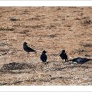 구학리 경로당 이미지