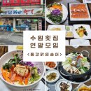 경기도 수원시 장안구 조원로111번길 | 수원 횟집 연말 가족 모임 장소 동강맑은송어