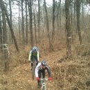 엄사약국 이미지