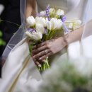 이안인터내셔날 이미지