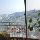 완월동197 이미지