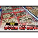 상록청과 | 안산 농수산물시장 킹크랩 시세 대게 먹방 방문기
