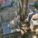 합천손맛낚시터 이미지