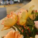 세실플라워