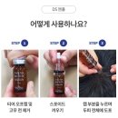 디에스투