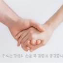 서일교정형외과의원 이미지