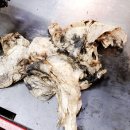 타이어 메카닉 이미지