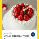 파리바게뜨 구로보건소점 | 파리바게트 샐러드 추천 크린베리 치킨 리코타