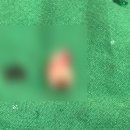 리더탑치과의원 이미지