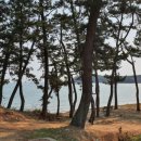 사계절바다펜션 | 베이테라스 태안오션뷰펜션, 바다 보며 힐링했던 솔직 후기