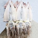 내외로L 이미지