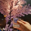 GS25삼산제일점 | 울산 삼산 이자카야 도쿄밤 달동 늦게까지하는 분위기좋은 술집 데이트 추천