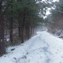 논실농장 이미지