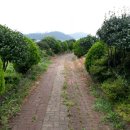 운영농장 이미지