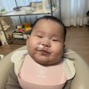 행루즈