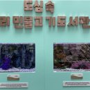 광교홍재도서관 이미지