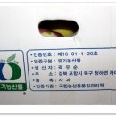 청하면 해아 이미지