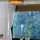 GS25 명천패밀리점 | 강남구신사동필라테스 아이보리스튜디오필라테스 필라테스 다이어트 자세 교정 근력 강화 효과