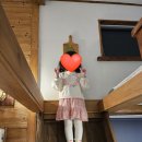 세렌의정원 | 밀양 세렌의 정원 라벤더룸, 밀양 트리인블루