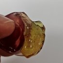 폰껍데기 | 알맹이 젤리 맛별로 먹어본 솔직후기