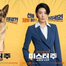 미스터오피스