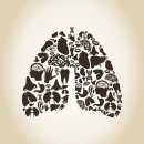 흰민들레농장 이미지