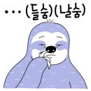 하이드렉스