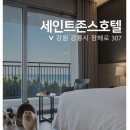 세인트존스호텔 이미지