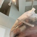 더리터동탄그랑파사쥬점 | 준오헤어 동탄그랑파사쥬점 후기!!