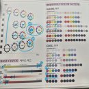사임당로19길 40-1 | 남자 퍼스널 컬러 진단 후기 | 가을 웜톤인 줄 알았는데 겨울 쿨톤 진단, 홍대 컬러가산다