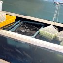 수산고앞 | [경남/고성] 병산수산, 주차가 편한 왕새우 구이 맛집