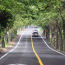 부채박물관 이미지