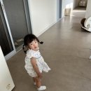스테이빛토키즈