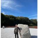 신미술관 이미지