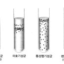 미생물의 생육과 산소요구도 이미지