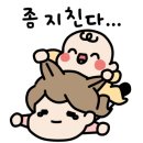 칠포생선