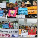 &#34;GMO 안돼!&#34; 우리밀 생산자-소비자 공동 기자회견 이미지