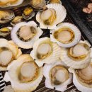 대천조개창고 - 보령시 대해로 409 | 대천여행 중 발견한 조개구이맛집, 대천조개창고 방문 후기!